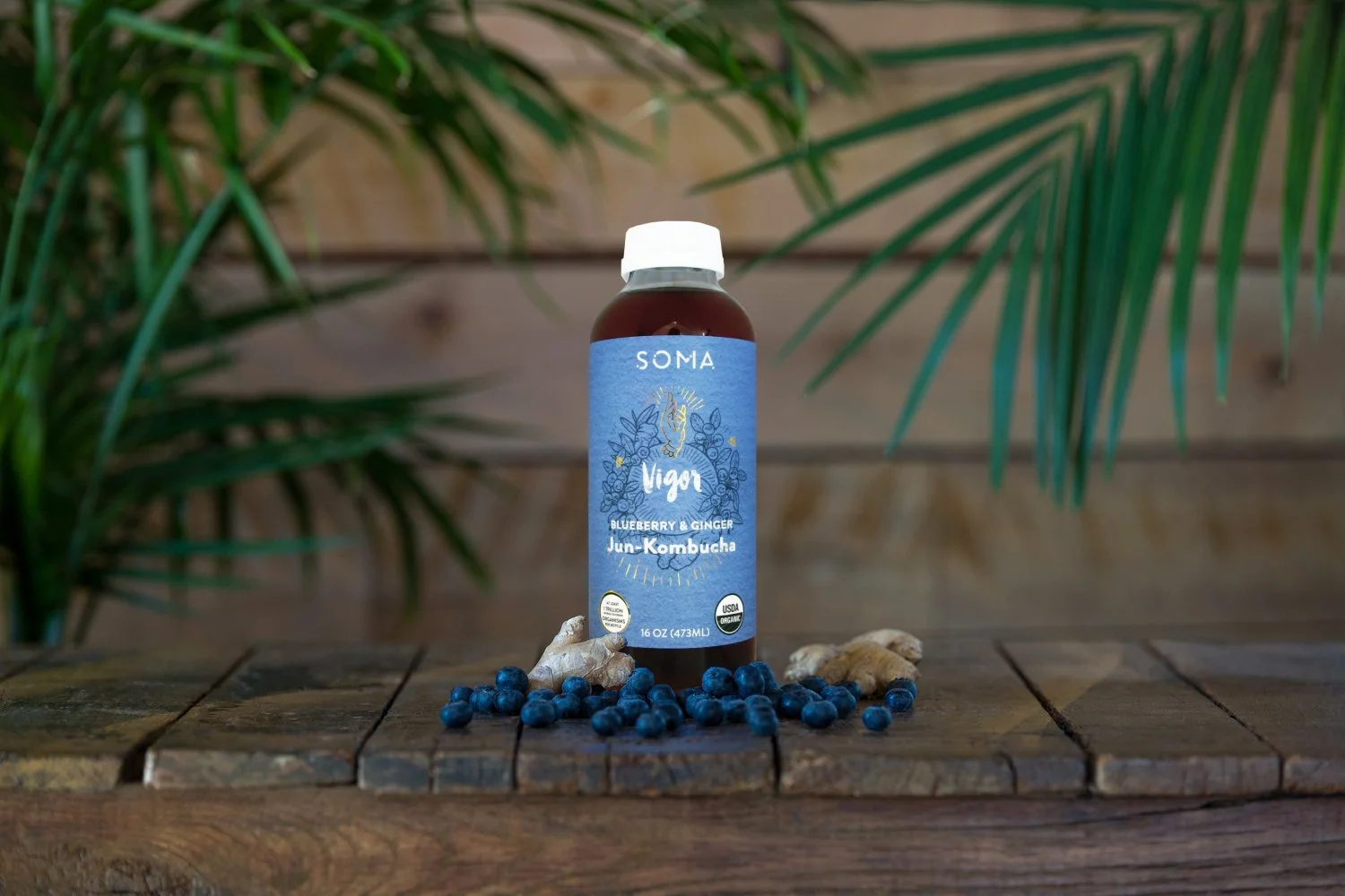 SOMA Kombucha and Jun - VIGOR